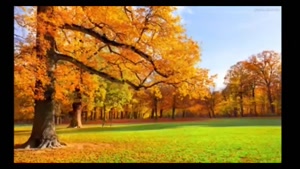 کلیپ آهنگ بی کلام جدید پاییزی / آهنگ بی کلام برای کلیپ