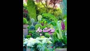دانلود کلیپ سلام صبح بخیر عاشقانه / کلیپ عاشقانه برای همسرم