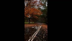 کلیپ غمگین برای استوری و ضعیت واتساپ / کلیپ پاییزی