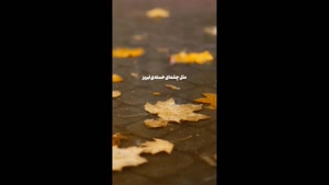 کلیپ عاشقانه بارانی / مثل لحظه بارون و پاییز