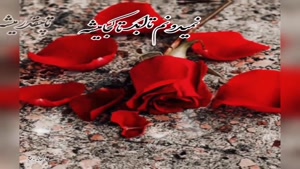 کلیپ عاشقانه احساسی / وقتی دلم فقط تو رو می‌خواد