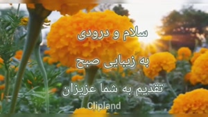 کلیپ زیبای سلام صبح بخیر / روزتون پر از انرژی و حال خوب