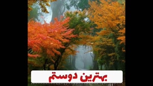 استوری زیبا برای متولدین 10 آبان