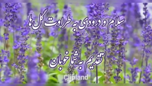 کلیپ جذاب صبح بخیر - با لبخندت روزت قشنگ‌تر میشه