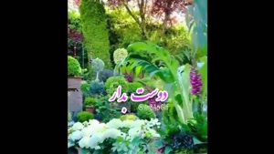 کلیپ صبح بخیر / صبح بخیر عاشقانه برای عشقم