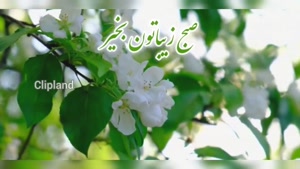 کلیپ سلام صبح بخیر زیبا