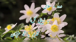 سلام به صبح تازه / آغاز روزی پر از اتفاق‌های خوب