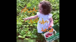 trendbaz