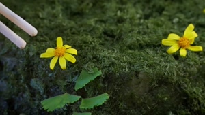 آشپزی در یونان: جلبک دریایی منحصر به فرد رودخانه 