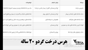 درخت گردو را چگونه هرس کنیم؟