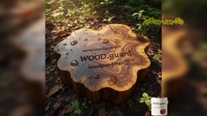رنگ چوب ضد آب ایده‌آل برای تراس چوبی ، وود گارد WOOD.guard