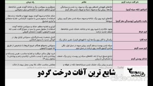 آفات درخت گردو