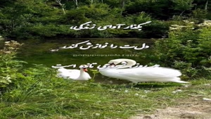 درود روزت آرام و دل انگیز