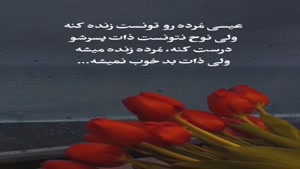 کلیپ غمگین تیکه دار/ ذات بد خوب نمیشه