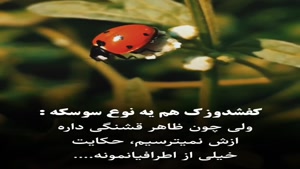 حکایت خیلی هاست/ کلیپ سنگین تیکه دار