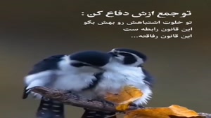 این قانون رفاقته/کلیپ سنگین تیکه دار