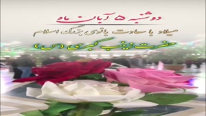 استوری ولادت حضرت زینب/کلیپ ولادت حضرت زینب