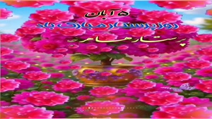 کلیپ روز پرستار برای وضعیت واتساپ/کلیپ ولادت حضرت زینب