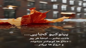 پینوکیو یادت بخیر/کلیپ غمگین خفن برای استوری