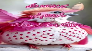 درود دلت پر از ترانه امید