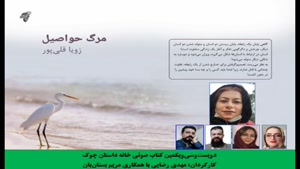مجموعه داستان «مرگ حواصیل» نویسنده «زویا قلی­‌پور»