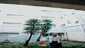  آهنگ جدید دانوش به نام راز + از تهران سانگ دانلود کنید