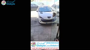 کلاهبرداری عجیب از خودرو 207 مالک خانم