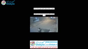 سرقت لوازم داخل خودرو در نیمه های شب