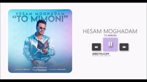 حسام مقدم تو میمونی