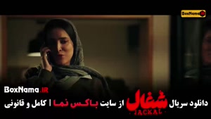 قسمت ۱۵ سریال شغال ایرانی