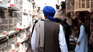 آهنگ گر جهان کوچه - هوش مصنوعی جان دوباره بخشید 