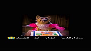 لالای قهرمان… تیدا، دختر ایران» 🕊️🤍