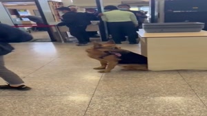 فیلم تیدا در فرودگاه برای کمک به مردم آبادان  