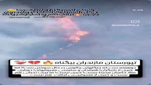 آخرین جنگل زمان دایناسورها هیرکانی در آتش