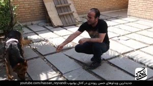 تست باهوش ترین سگ  تیدا با حسن ریوندی