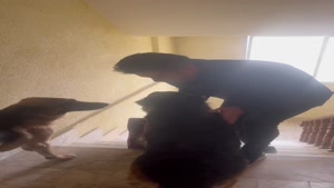 فیلم لحظه جدایی من از تیدا و مایا😭😭