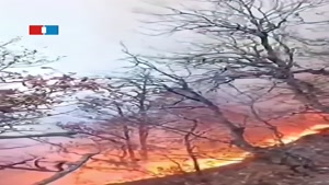 فوری - آتش‌سوزی جنگل‌های هیرکانی مرزن‌آباد 