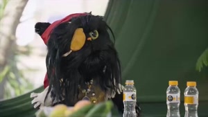 کارناوال رامبد { عروسک افتو گربه رامبد جوان کارناوال }