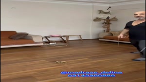 آموزش نحوه تفکیک فلزات باحرکات شعاع زن ونقطه زن طلایاب یو ۴۰