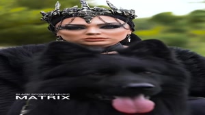 Black Scorpion Music