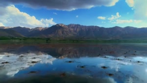 کلیپ طبیعت / طبیعت شگفت انگیز / دانلود کلیپ طبیعت