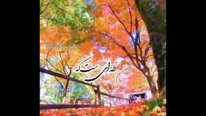 کلیپ صبح بخیر پاییزی / استوری صبح بخیر / صبح بخیر