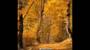 کلیپ صبح بخیر پاییزی / صبح پاییزیتون بخیر 