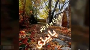 کلیپ صبح بخیر پاییزی جدید / استوری زیبای صبح بخیر