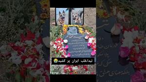 تیدا دختر ایران سگ باهوش امداد مرد