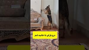 تیدا و اجرای دستور حمله