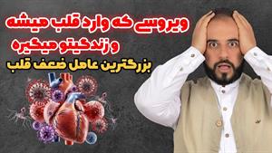 علت اصلی تپش قلب و دلشوره چیست