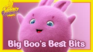 سانی بانی _ بیگ بو و سانی