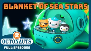 پتوی ستاره‌ های دریایی