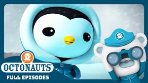 عملیات انجماد عمیق